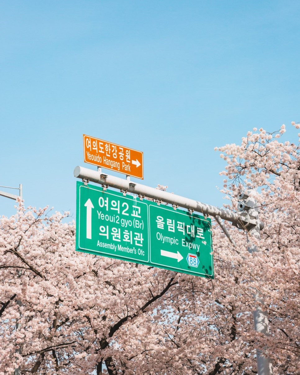 2022 여의도 봄꽃길 운영안내 본문 이미지
