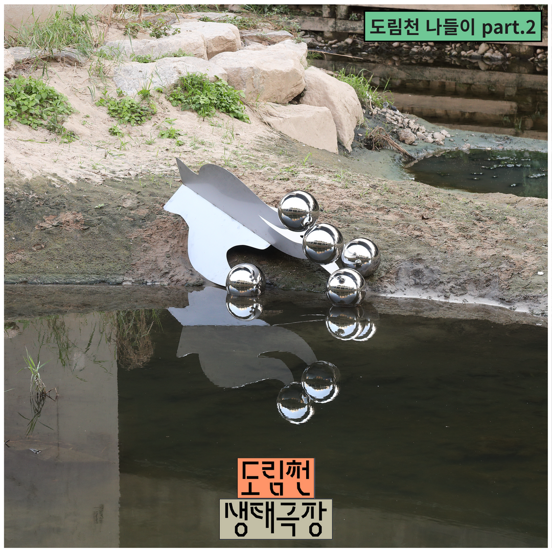 2022 공공예술 프로젝트 <도림천 생태극장> 야외 전시 (09.17. - 10.26.) 본문 이미지