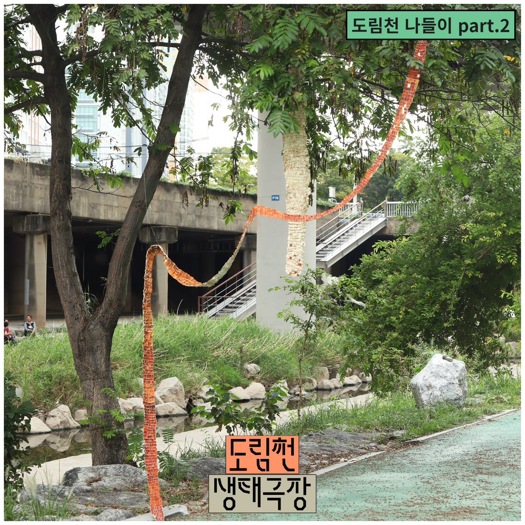2022 공공예술 프로젝트 <도림천 생태극장> 야외 전시 (09.17. - 10.26.) 본문 이미지